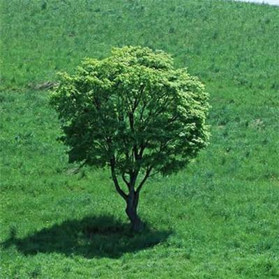 铁甲风暴折扣版下载